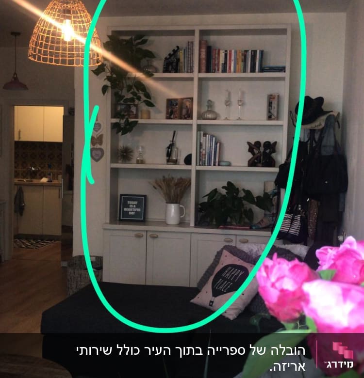 מדף עם ספרים וצמחים, מנורה תלויה